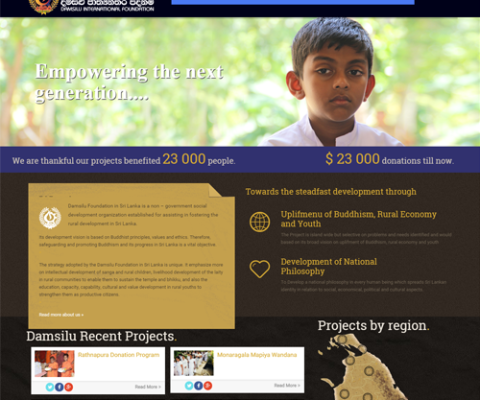 pawara-event-web-design-development-ngo-website-damsilu